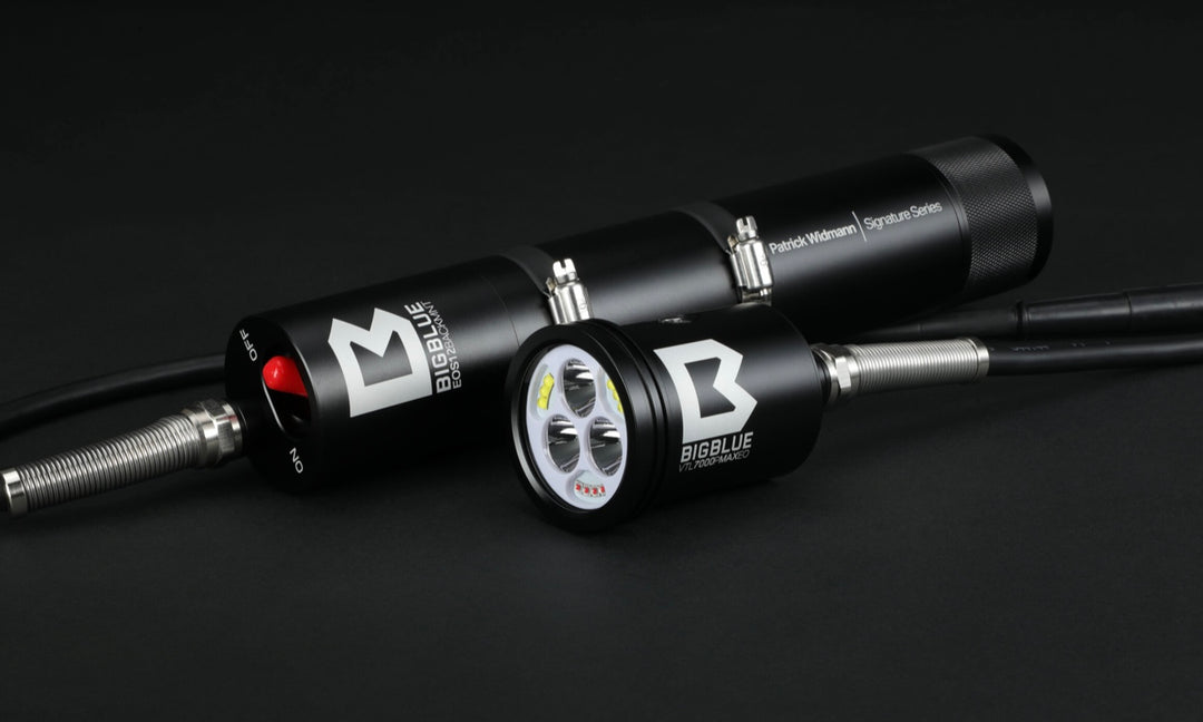 BigBlue VTL7000P MAX EOS12 Tanklampe