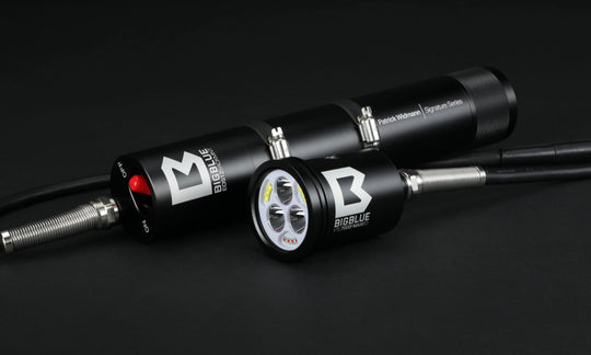BigBlue VTL7000P MAX EOS12 Tanklampe