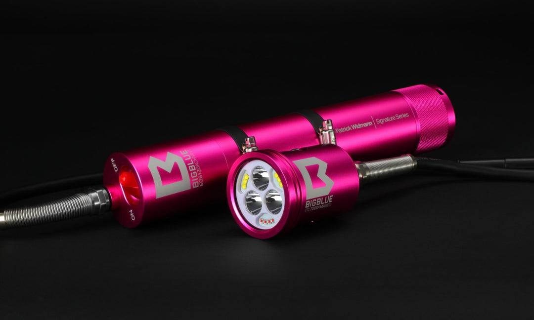 BigBlue VTL7000P MAX EOS12 Tanklampe